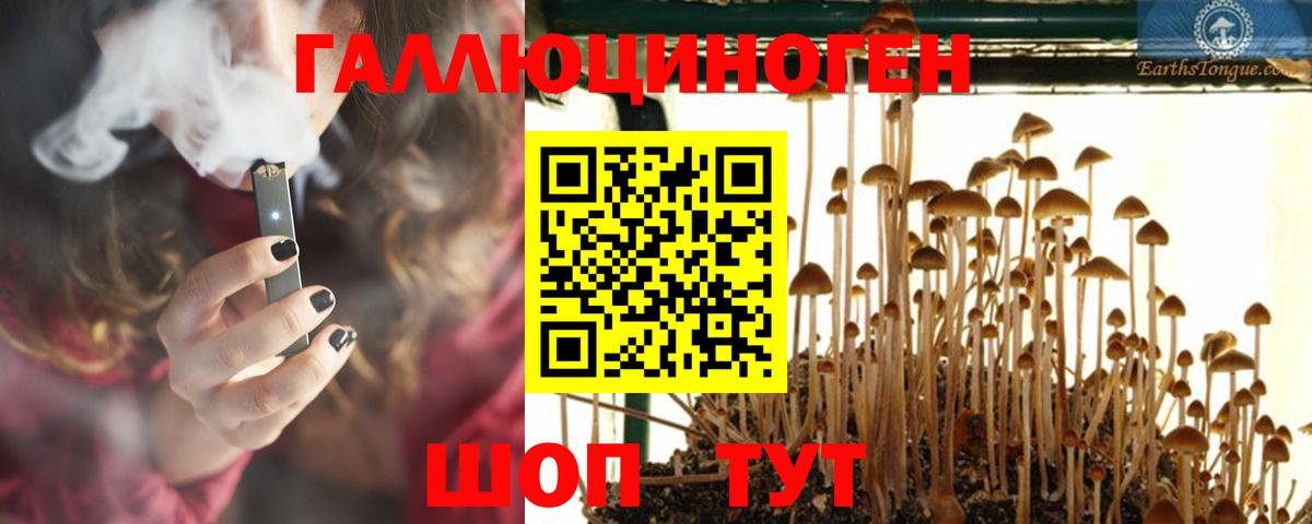Псилоцибиновые грибы мицелий Всеволожск