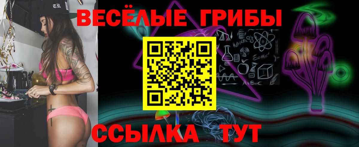 Галлюциногенные грибы мицелий  Вход с VPN  Галлюциногенные грибы Psilocybine cubensis  Всеволожск 